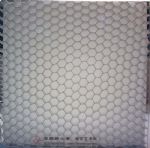 PC sandwich panel